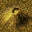 (7,1) R 